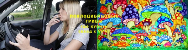 кокс Армянск