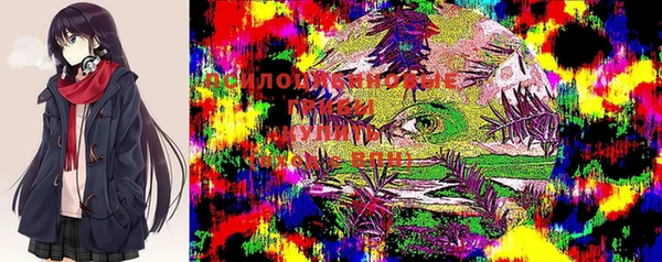 герыч Аркадак