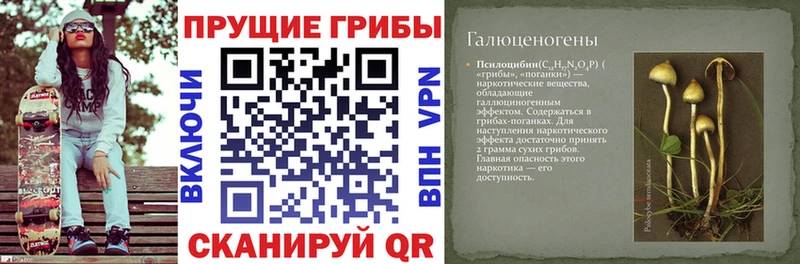 Галлюциногенные грибы мицелий Петушки