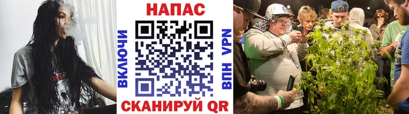 Каннабис OG Kush мега Петушки